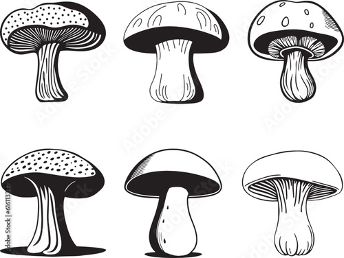 Hand Drawn Vector Fungus Mushrooms