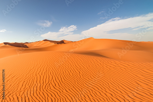 Desert landscape Experience the captivating and serene landscape of vast sand dunes and wide desert vistas