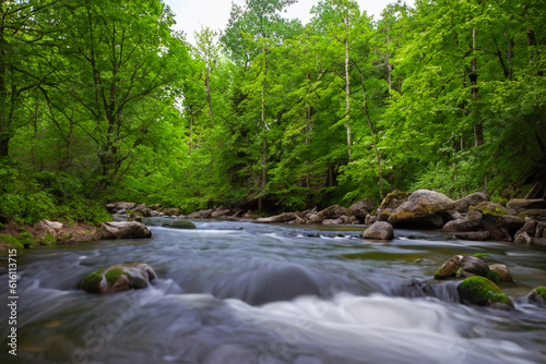 River through the forest- Find solace in the depths of a forest as you sit by a flowing river or stream  embracing the tranquility of nature 