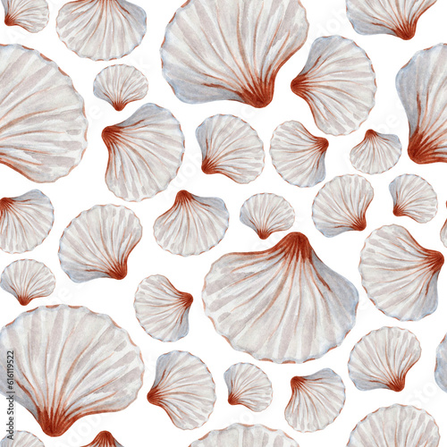Tropical seamless pattern with white seashells. Hand drawn watercolor illustration.