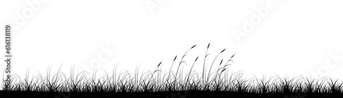 Reeds in meadow grass panoramic background design. Wild nature. Vector illustration with empty copy space for text. Editable shape for poster decoration. Creative and customizable panorama image