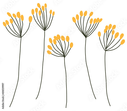 Simple Hand-Drawn Dandelion Outlines Isolated Yellow Flower Illustrations in Transparent PNG Set of Line Art Elements
