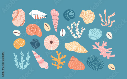 Set of seashells, coral and algae on blue background. Hand drawn colorful illustration. Vector seabed set. Flat cartoon style. Summer vacation collection, tropical beach shells.