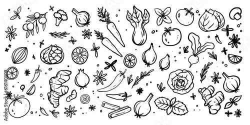 Big bundle of vegetable hand drawn illustration