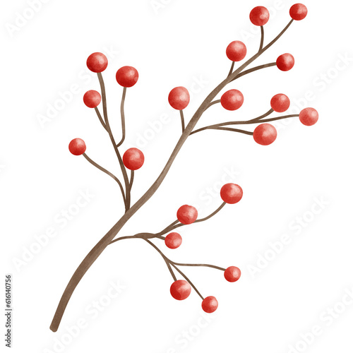 Hand drawn watercolor of red berries decoration for Christmas, new year holiday celebration concept.