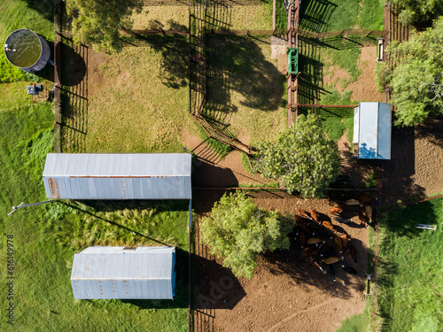 Australian cattle yards seen in overhead top down aerial view on farm with sheds
