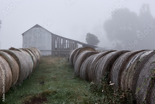 Haybales in a misty farmyard in NW Tasmania.
