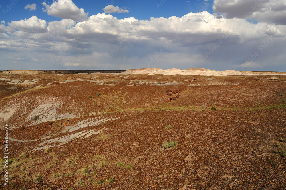 Rugged and Desolate Landscape Petrified Forest Arizona