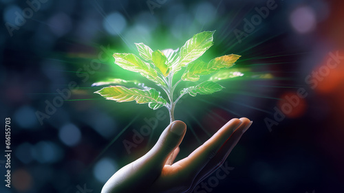 tree sprout in hands