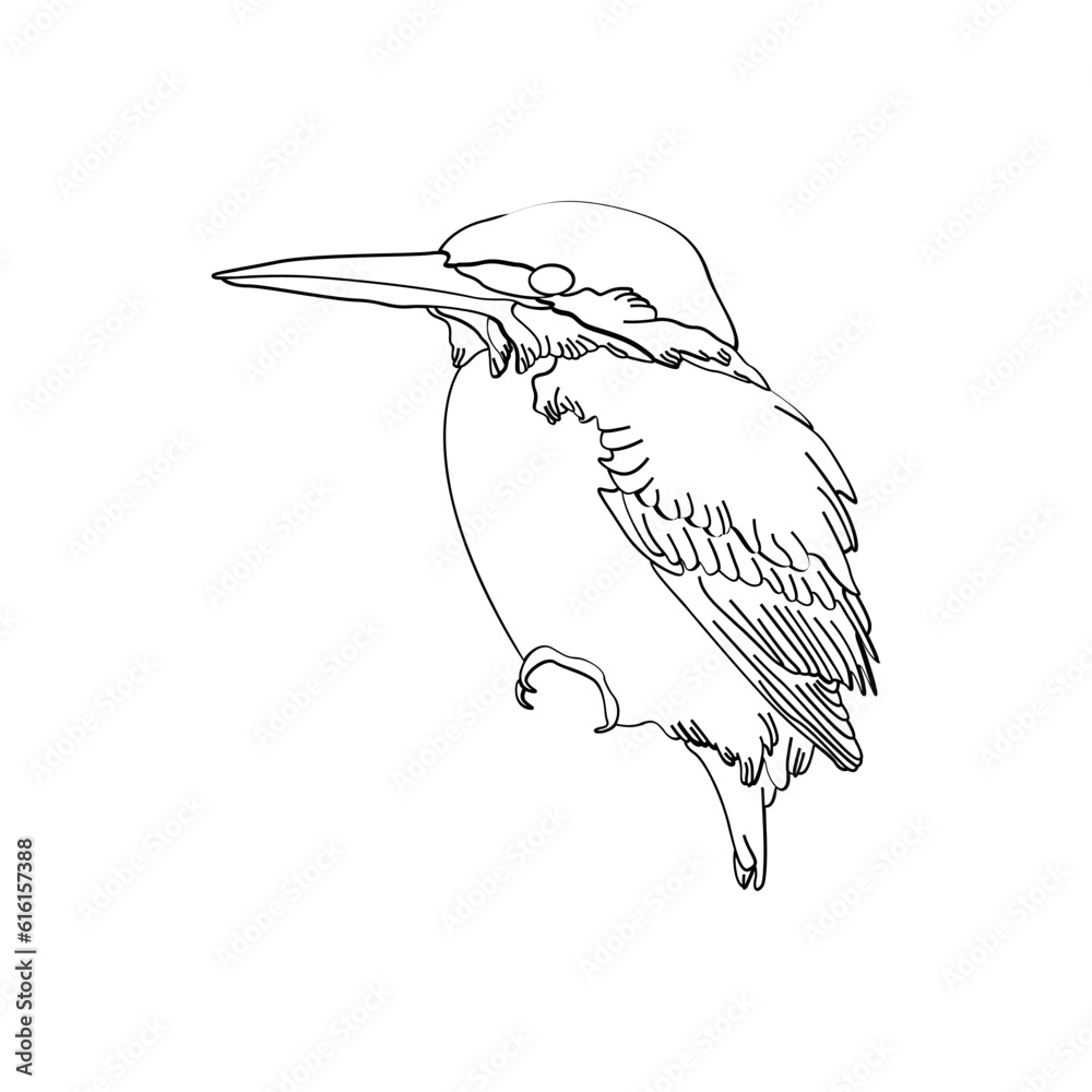 Fototapeta premium Bird outline vector for coloring book and tattoo design. Bird line art. Bird vector illustration. Bird outline. Bird line art. Hand drawn bird.