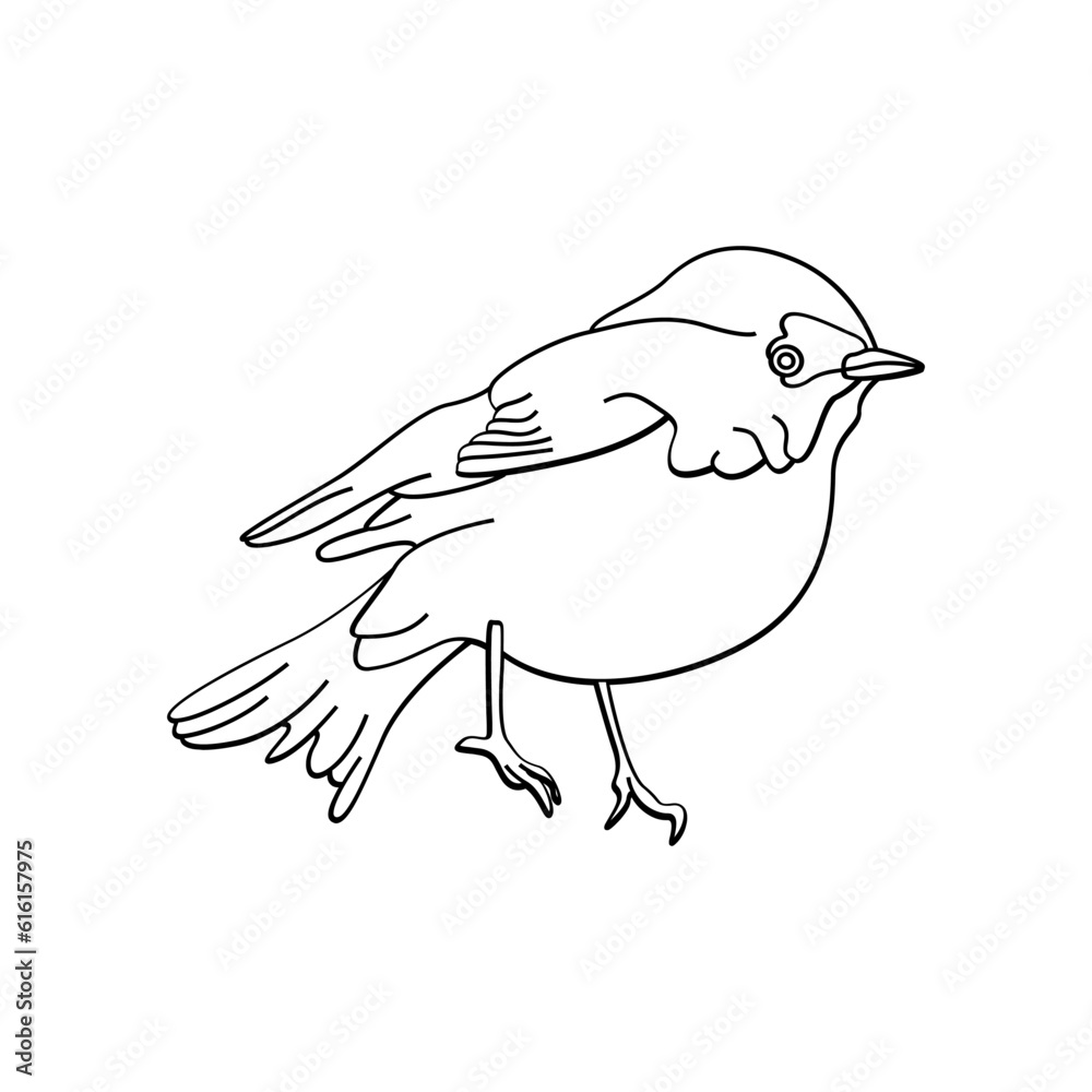 Fototapeta premium Bird outline vector for coloring book and tattoo design. Bird line art. Bird vector illustration. Bird outline. Bird line art. Hand drawn bird.