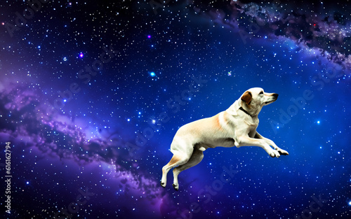 Dog floating in galaxy space