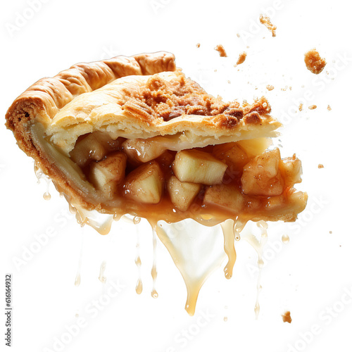 Piece of tasty homemade apple pie © Ann