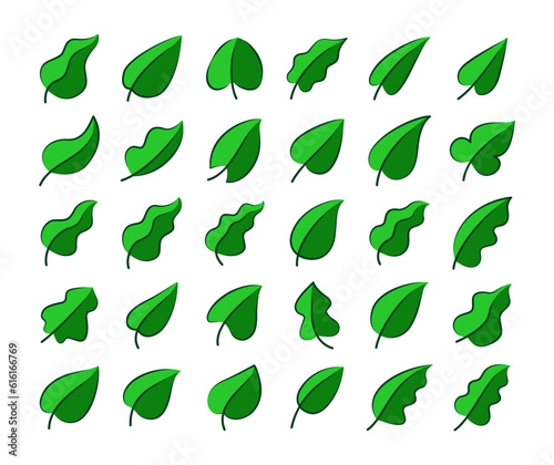 Green Leaf Vector Collection