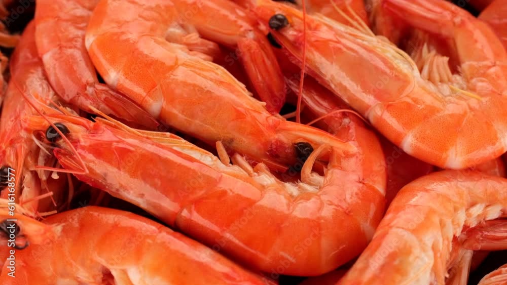 Zoom frame fresh prawns close up Zoom frame fresh prawns close up