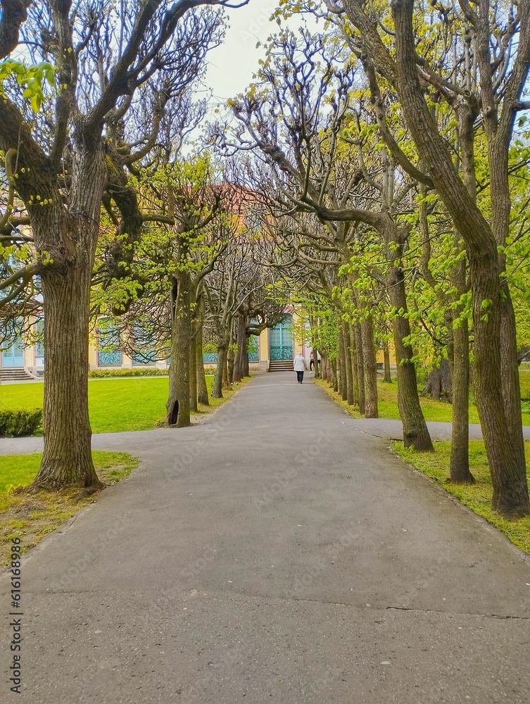 path in the park