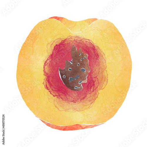 Watercolor Illustration of whole peach isolated on white background - hand drawn tropical fruit
