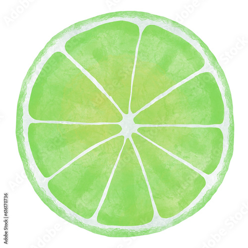 Watercolor Illustration of lime slice isolated on white background - hand drawn tropical fruit
