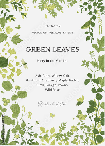 Green leaves. Card. Party in the Garden. Vector vintage illustration.