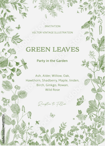 Green leaves. Invitation. Party in the Garden. Vector vintage illustration.