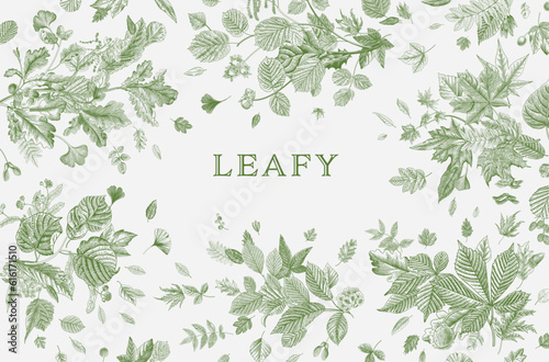 Leafy. Card. Vector vintage illustration.