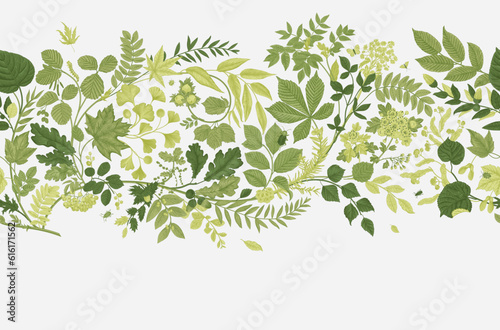 Green leaves. Seamless Horizontal border. Vector vintage illustration.