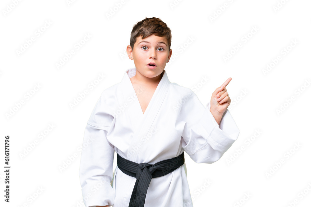 Little caucasian kid doing karate over isolated chroma key background intending to realizes the solution while lifting a finger up Little caucasian kid doing karate over isolated chroma key background intending to realizes the solution while lifting a finger up