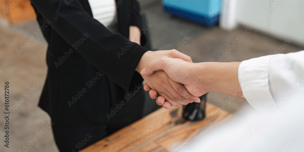 Business partnership meeting concept. Image businesspeople handshake. Successful businessmen handshaking after good deal