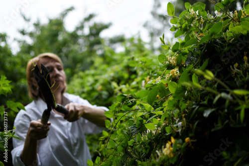 Woman in the garden photo