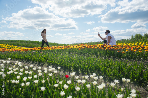 Obraz na płótnie A guy takes a picture of his girlfriend with his phone at field of colorful tulips background. w salonie