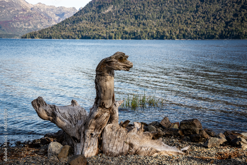 The trunk of a dry tree, shaped like a dinosaur, on the shore of Lake Mascardi