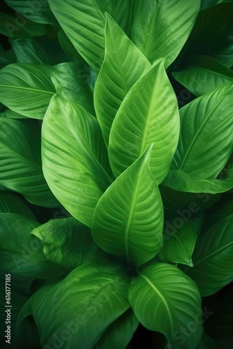 The beautiful texture of green leaves up close, abstract nature. (Illustration, Generative AI)