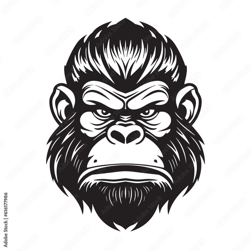 Vector drawing of a gorilla head on a white background Vector drawing of a gorilla head on a white background