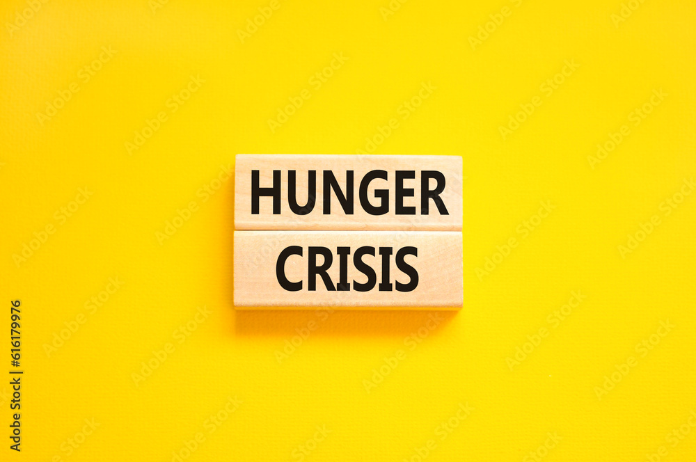 Hunger crisis symbol. Concept words Hunger crisis on wooden blocks on a beautiful yellow table yellow background. Business, support and Hunger crisis concept. Copy space. Hunger crisis symbol. Concept words Hunger crisis on wooden blocks on a beautiful yellow table yellow background. Business, support and Hunger crisis concept. Copy space.