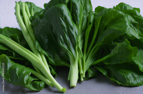 fresh spinach leaves