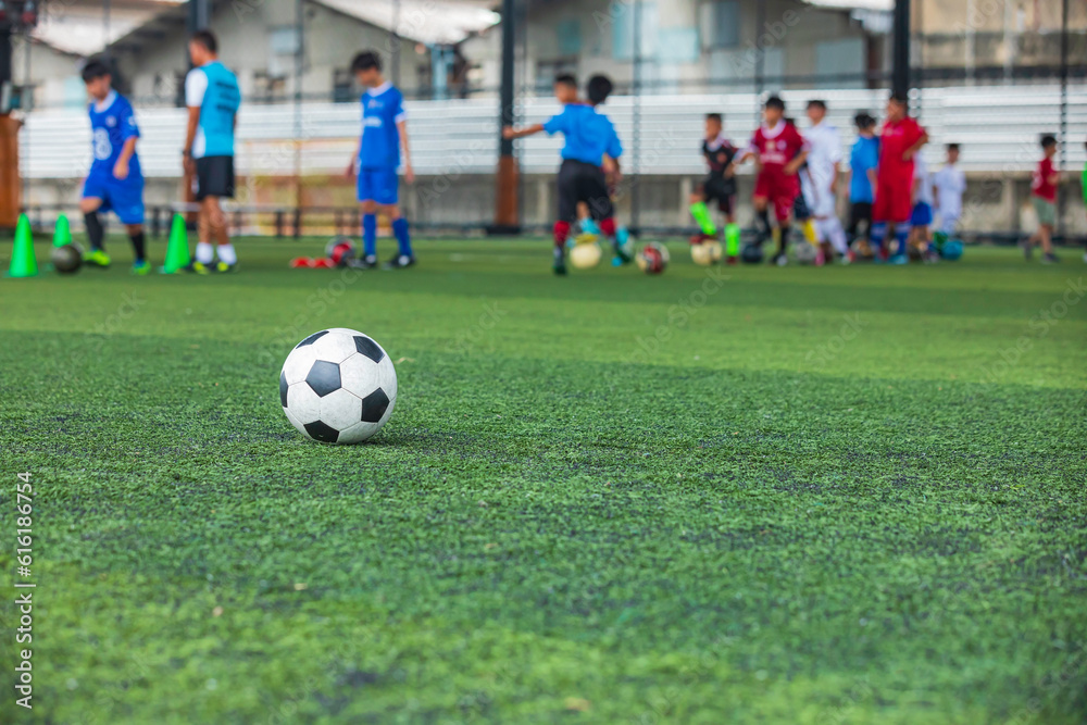 Soccer ball tactics cone on a grass field with for training Soccer ball tactics cone on a grass field with for training