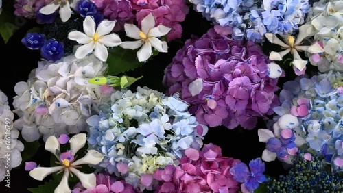 梅雨時期6月に色とりどりのアジサイを浮かべた花手水 photo