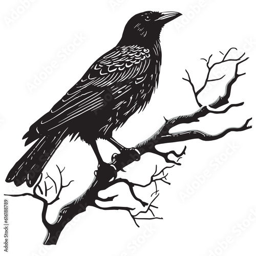 Vászonkép Cute raven, sitting on a tree on a white background, hand drawn illustration