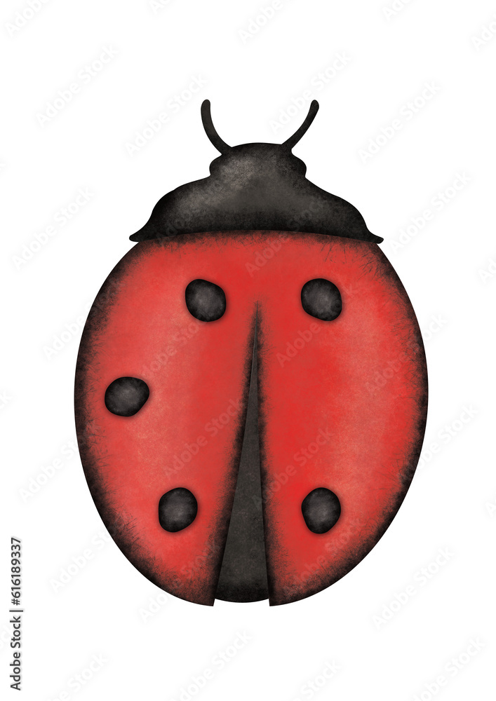 biedronka