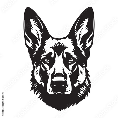 Vector isolated portrait of a german shepherd dog on a white background