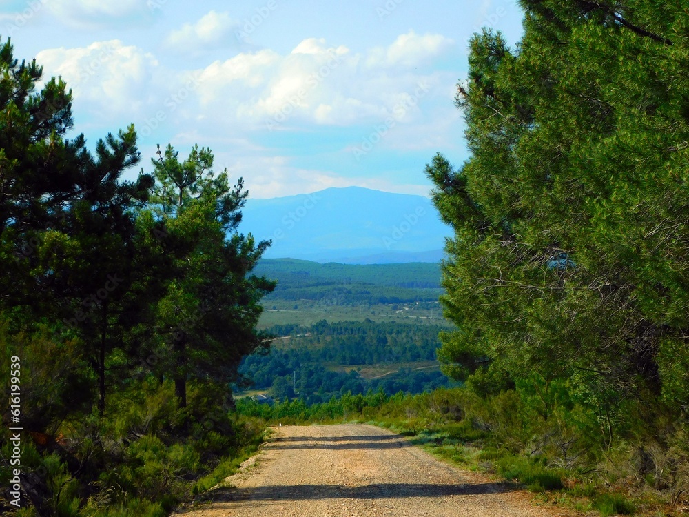 Fototapeta premium Tranquil Path Through Rural Landscape in SIerra de la Culebra, Zamora