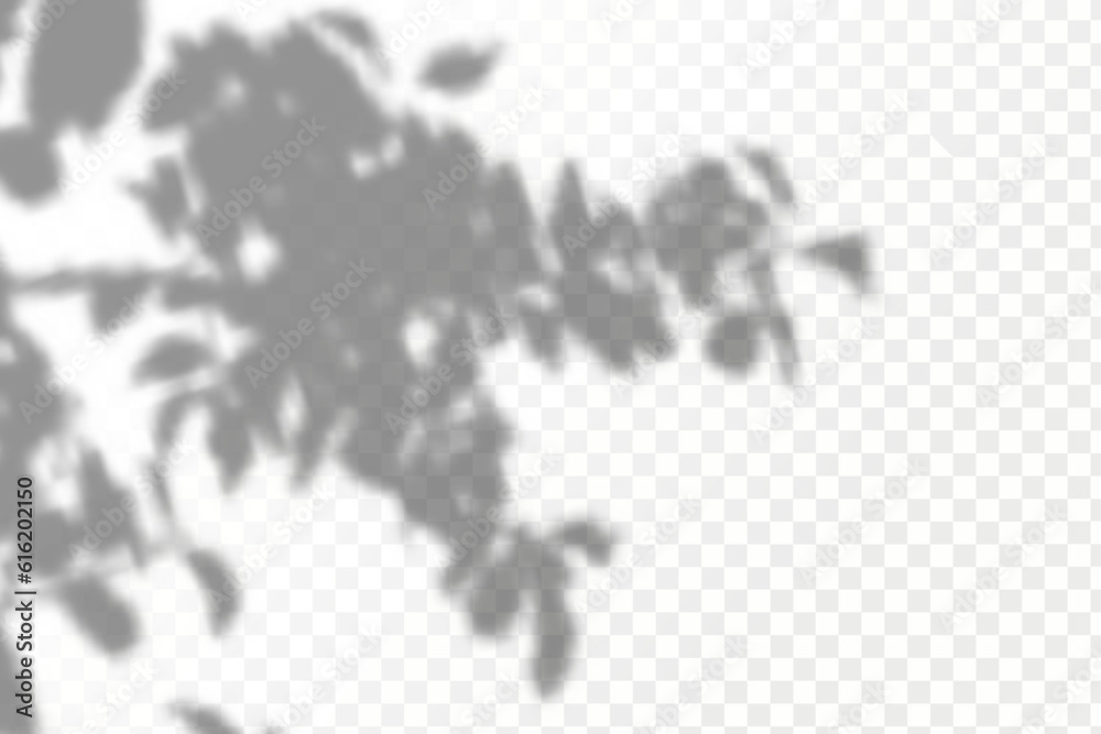 he effect of overlaying shadows. Natural light layout.Realistic shadow ...