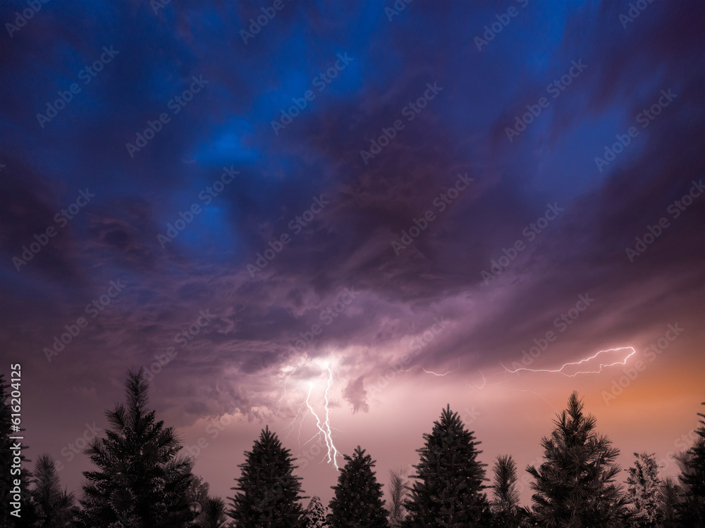 stormy sky with lightning and fir trees in the foreground