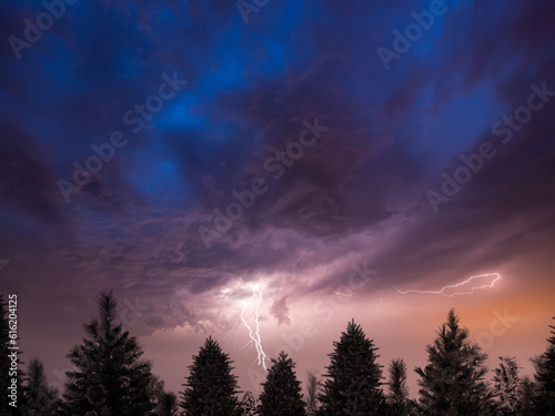 stormy sky with lightning and fir trees in the foreground