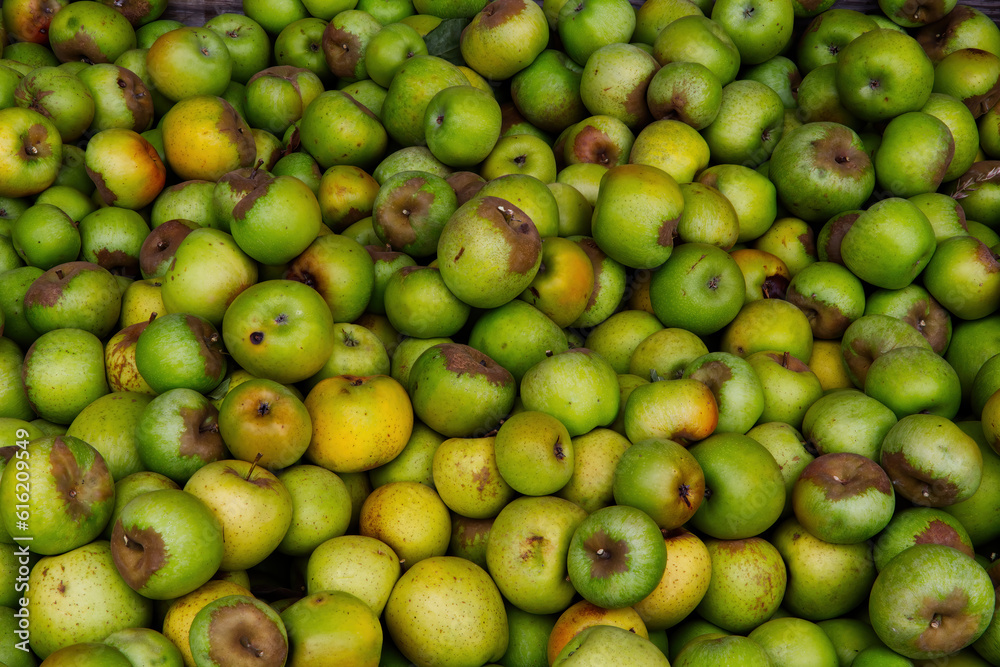 Frame Filling Shot Of Green Apples In Bin Frame Filling Shot Of Green Apples In Bin