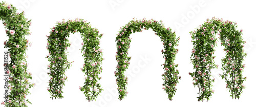 Fototapeta Naklejka Na Ścianę i Meble -  Gate made of climbing roses isolated on transparent background. 3D render.