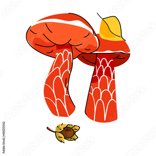 Red boletus frostii mushroom with autumn leaf and seed isolated on white background. Season vector bolete fungus flat illustration