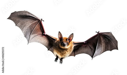 Flying bat isolated on transparent background, Generative AI photo