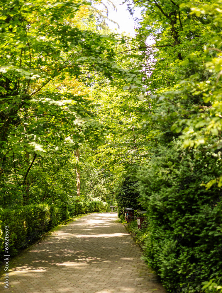 path in the park