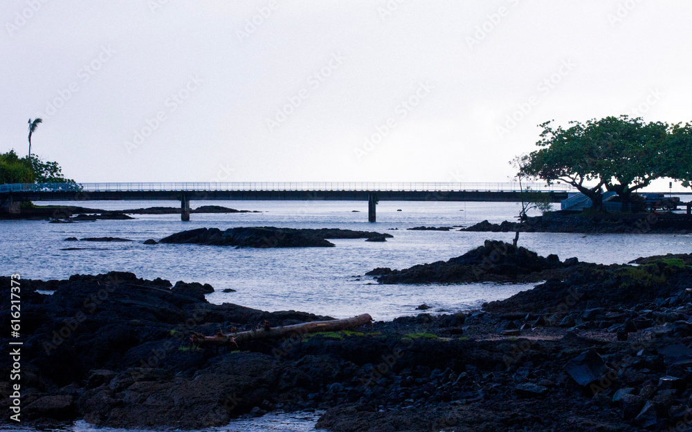 bridge over the river